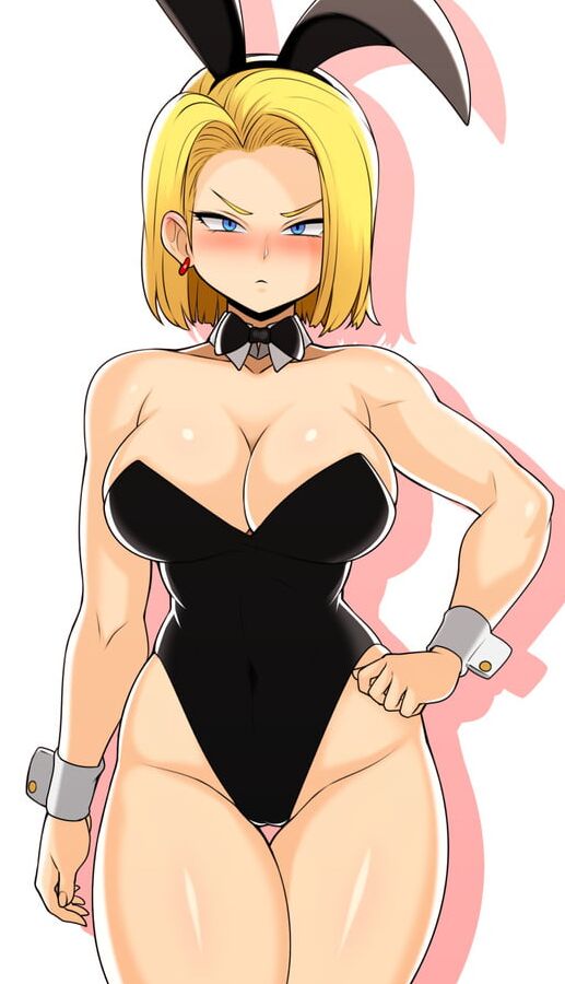 アンドロイドコレクション