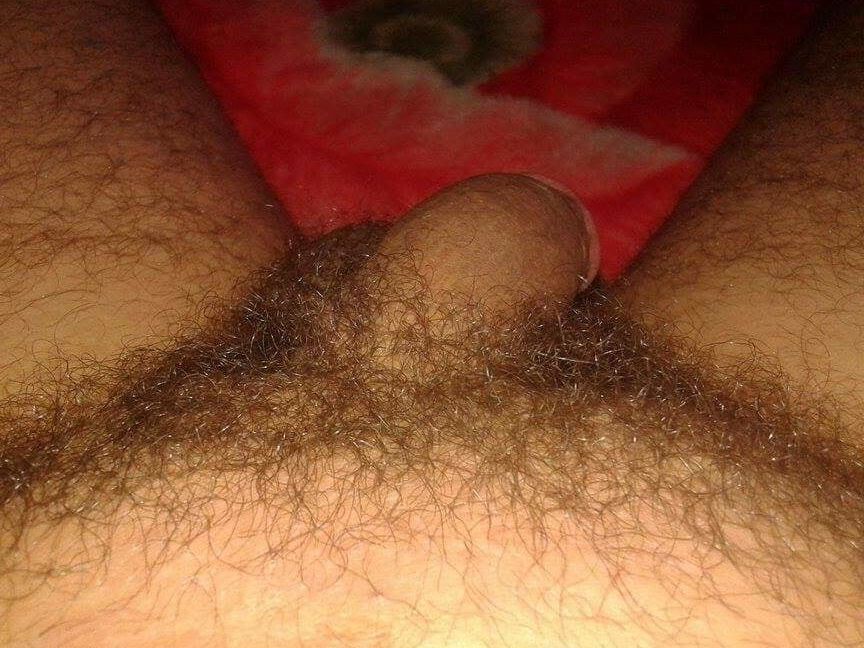 Hairy beach