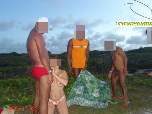 A FESTA