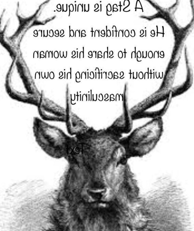 stag and vixen