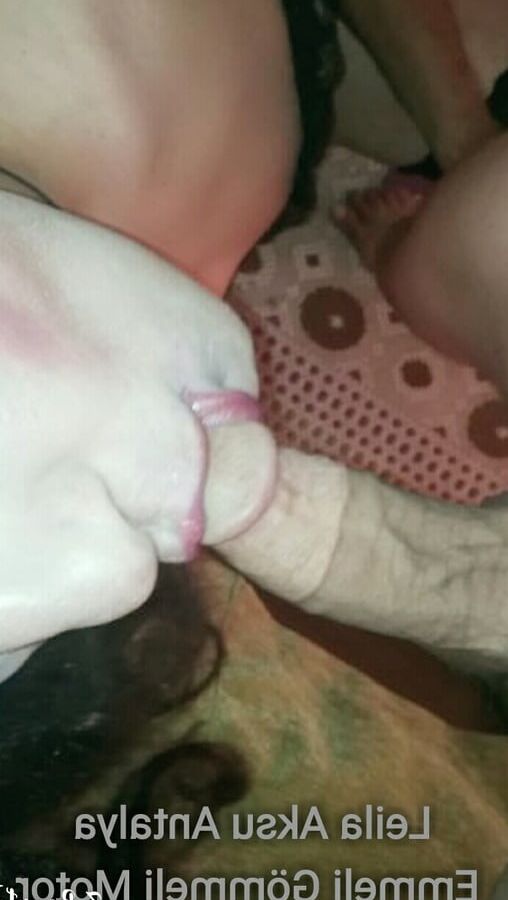 Shemale leila porn