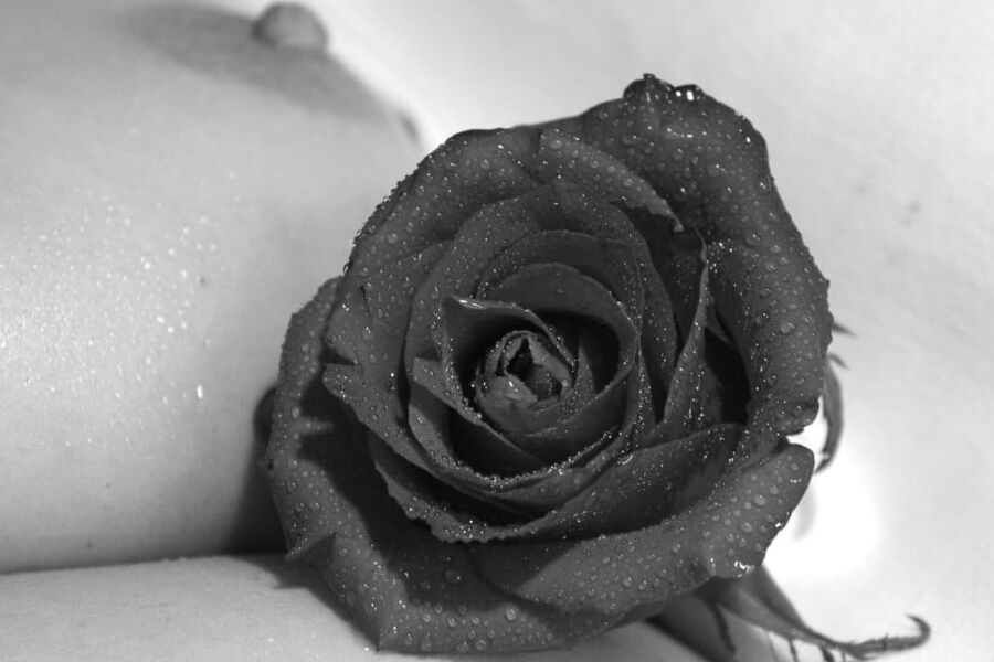 Another Fine black and white Pictures Gallery