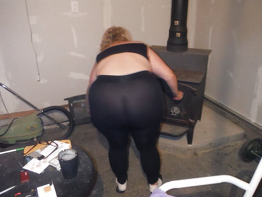 sweet pig