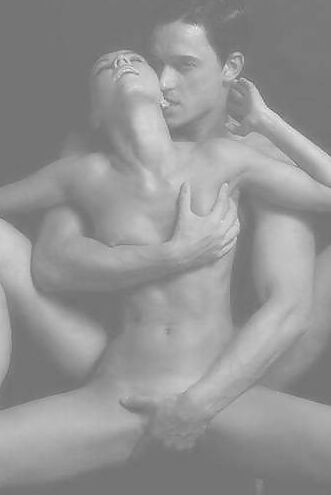 セックスの芸術