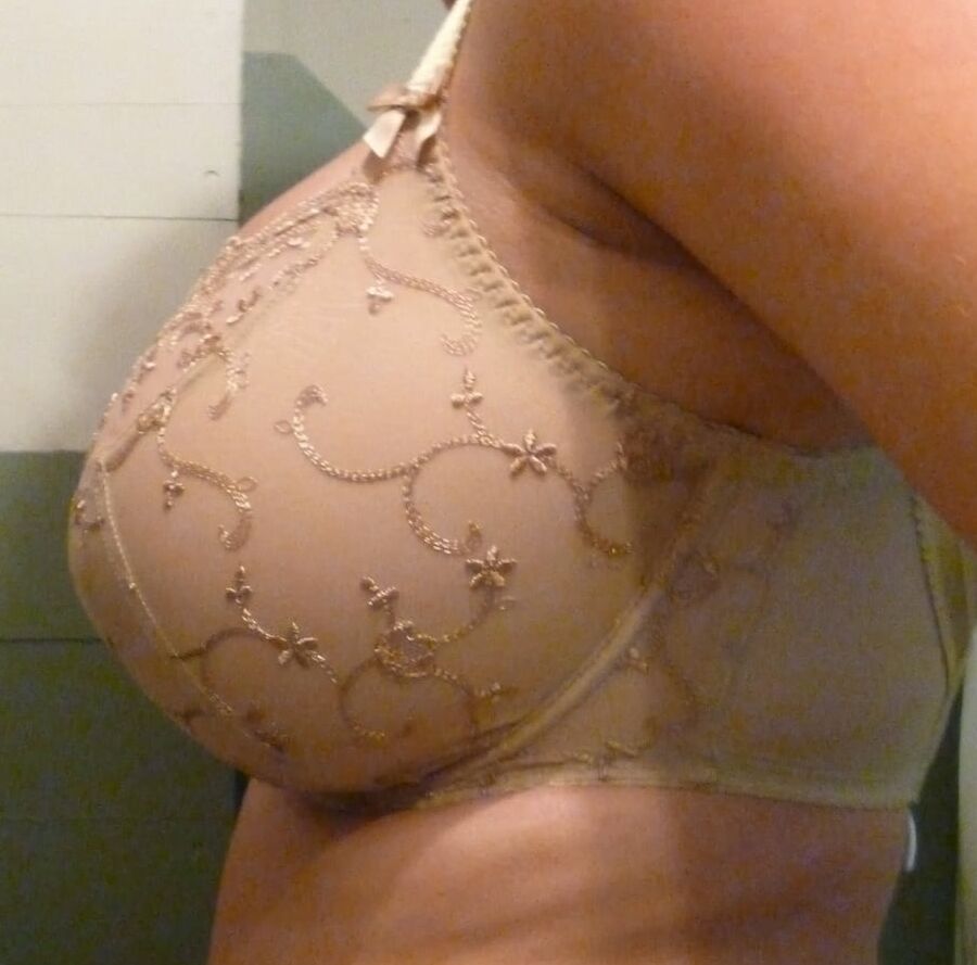 My Busty Wife