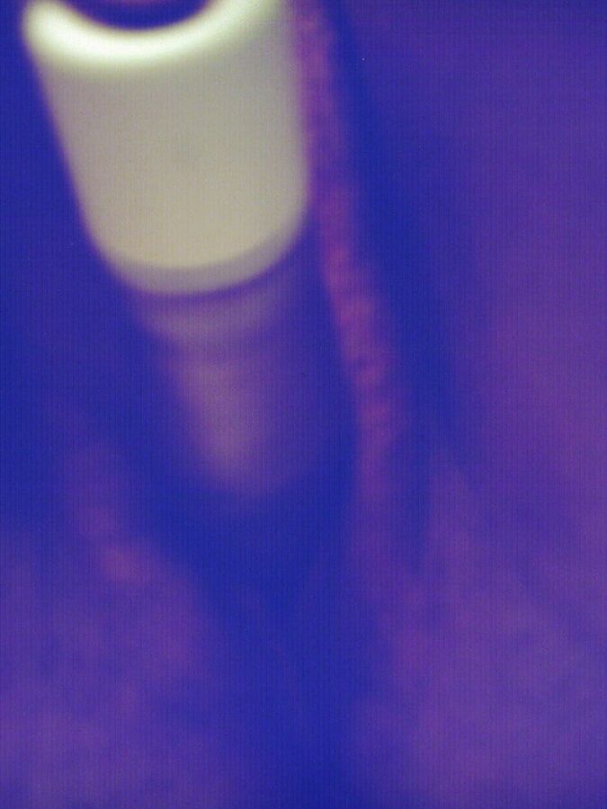 Exposed slut Amber Creason