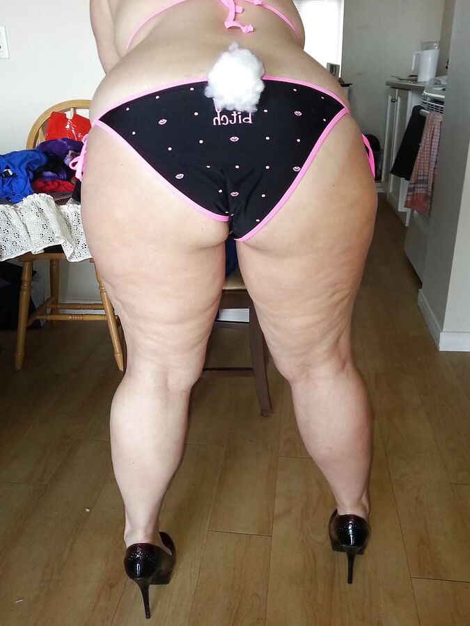 sweet pig