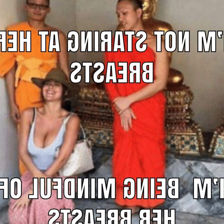 Comedy Memes