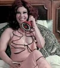 Celebrity egypt Shwikar