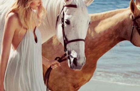 Fun with horses