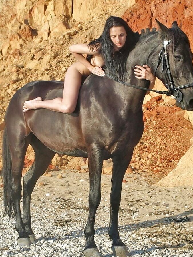 Fun with horses