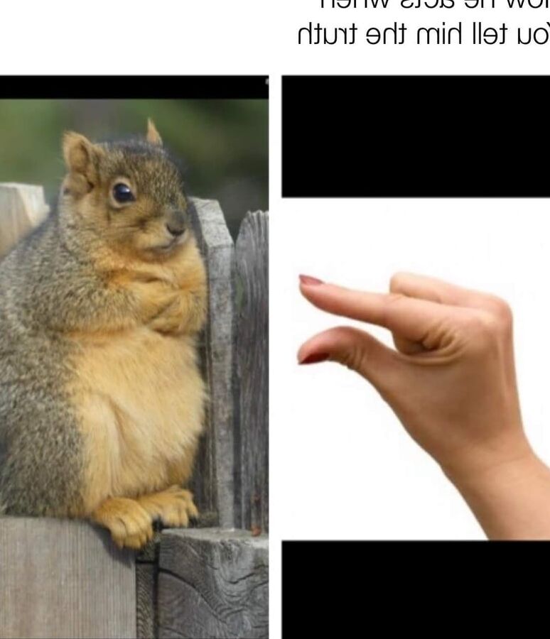 Comedy Memes