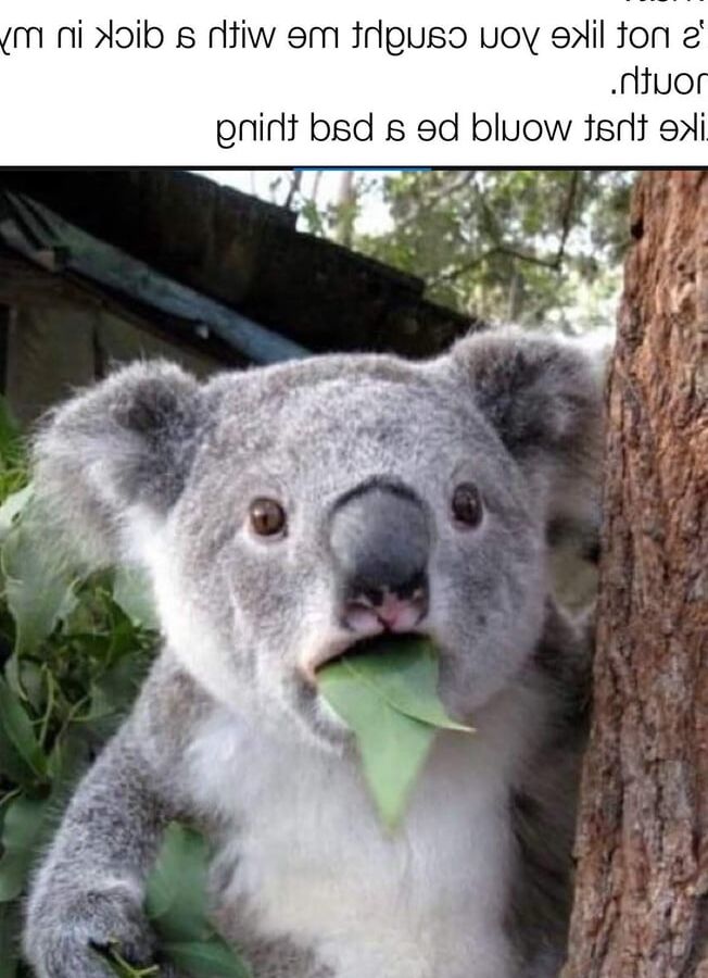 Comedy Memes