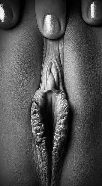 Pussy Grayscale