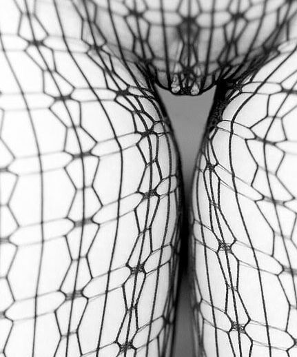 Pussy Grayscale