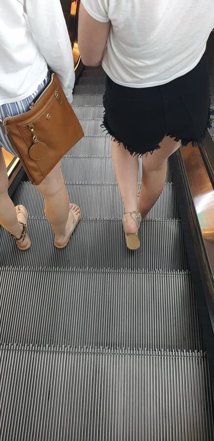 Legs and feet