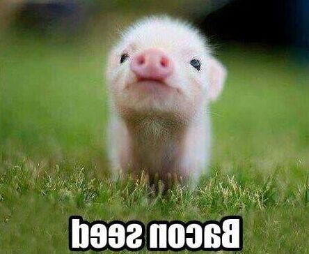 Так, БЛЯДЬ,