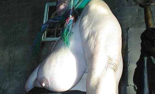 older tits