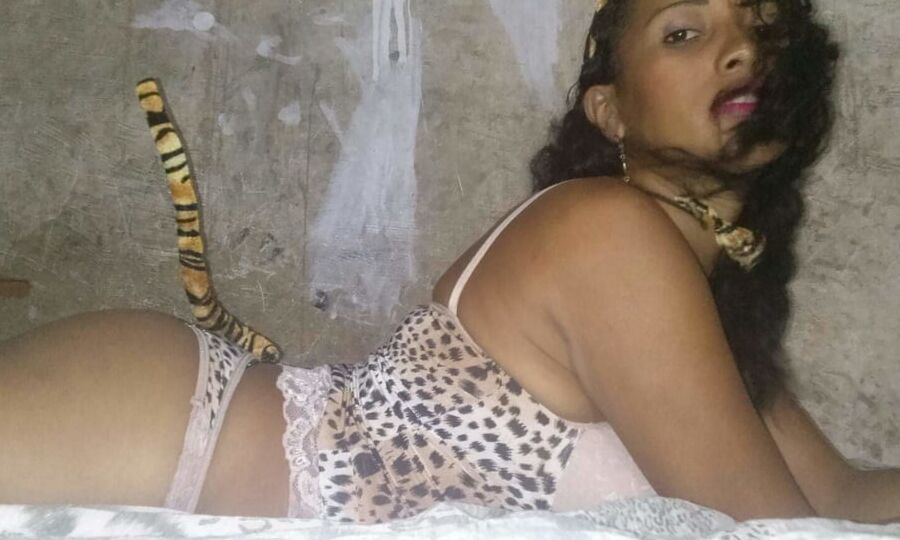 C.. Anjinha do Prazer