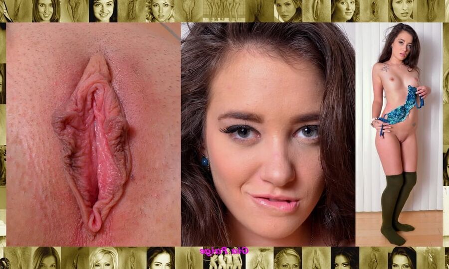 My Body, Face, And Pussy Vol.