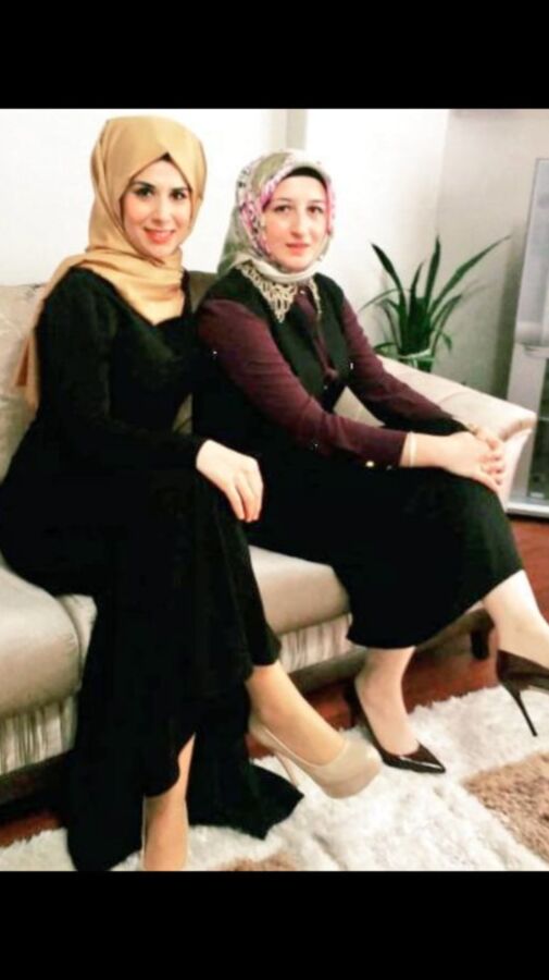 Hangisini nasil serisi