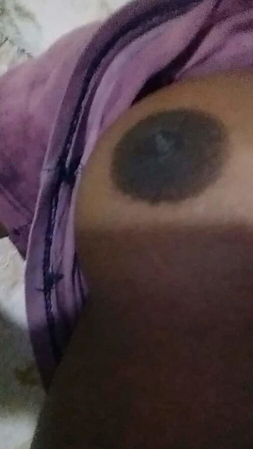 Pucuk Tabir