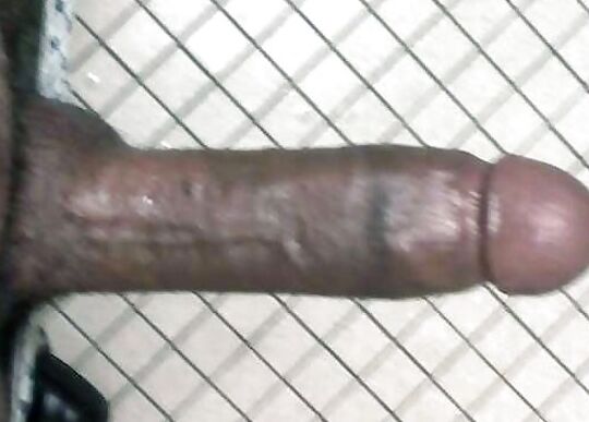 Flip Donna Bj Freak Pics