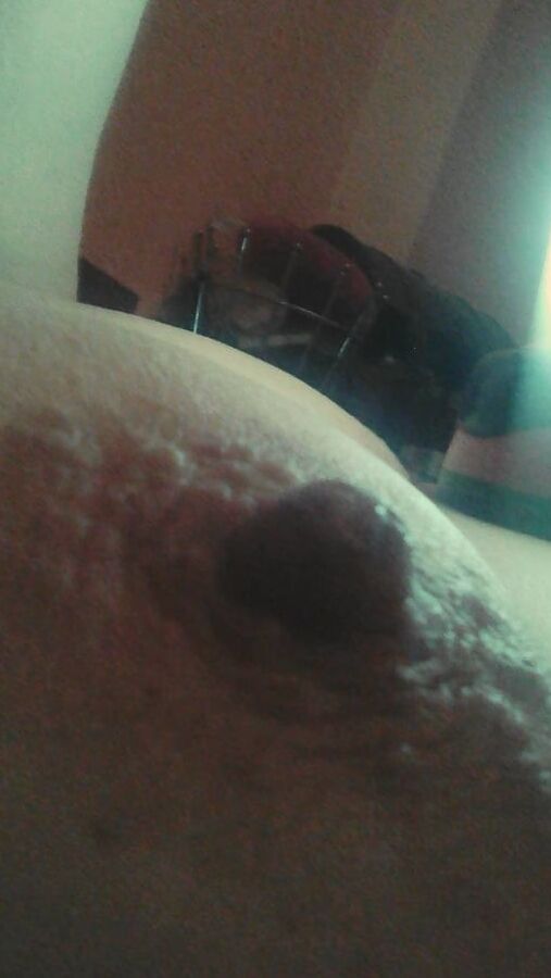 NIPPELS