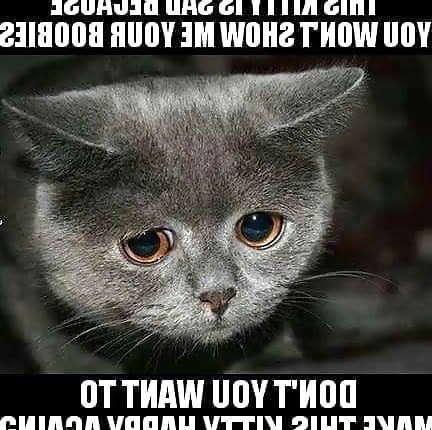 More FUCKIN&; FUNNY Stuff!!!