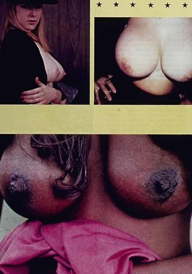 Vintage Retro Porno - Private Magazine -
