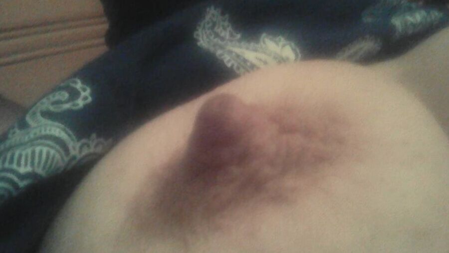 NIPPELS