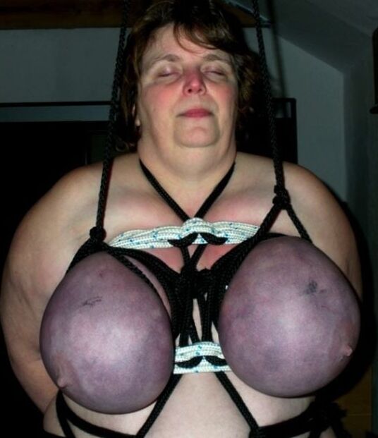 Gilfs