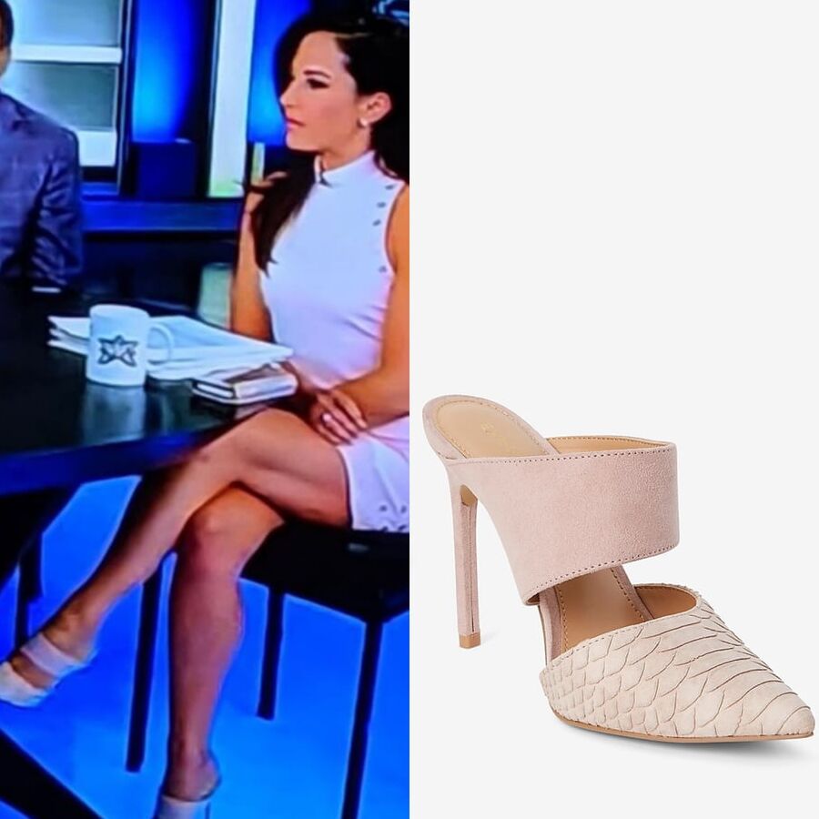 SEXY ATTORNEY AND FOX NEWS BABE EMILY COMPAGNO