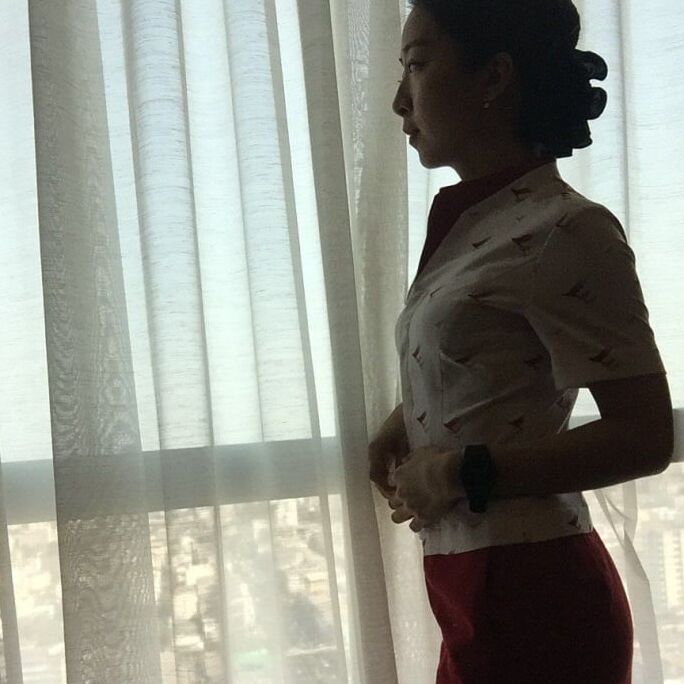 slut airhostess