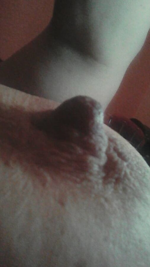 NIPPELS