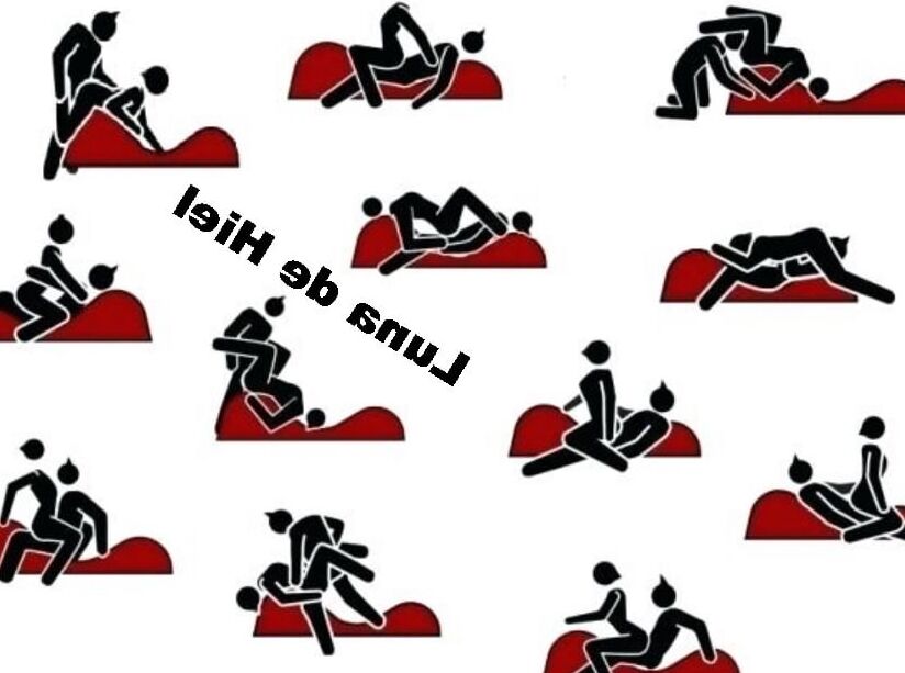Animacion.