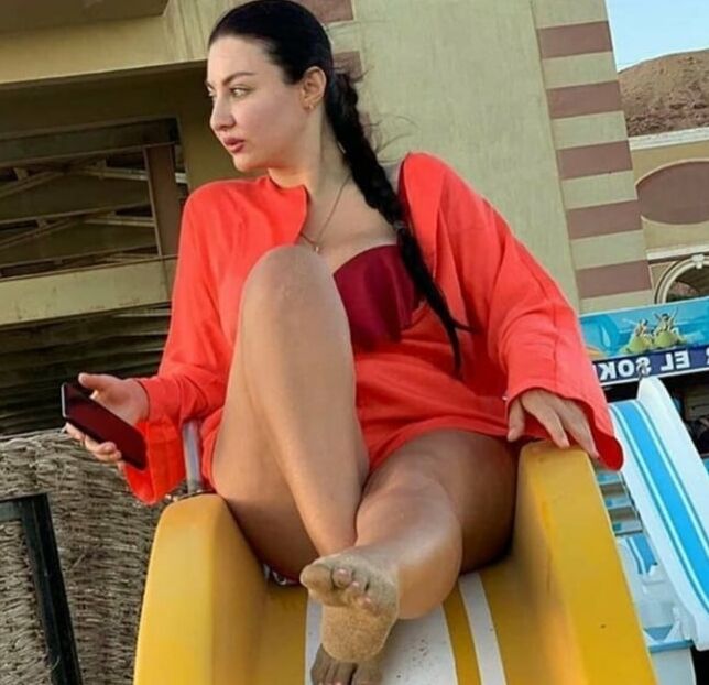 Celebrity egypt sofinar