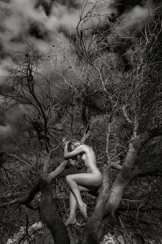Photography by Cam A.