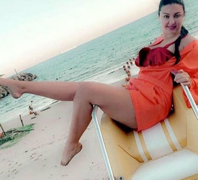 Celebrity egypt sofinar