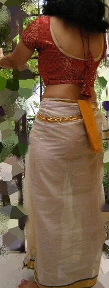 South indian aunty