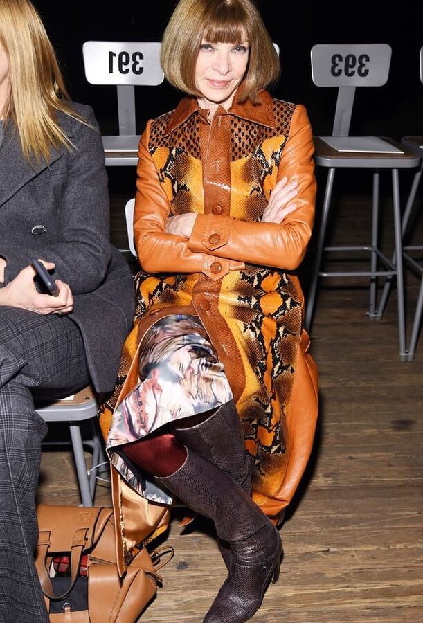 Female Celebrity - Anna Wintour