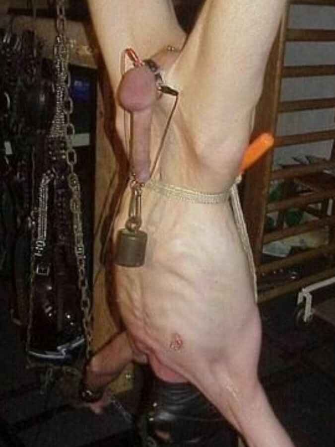 Femdom Cbt Mix