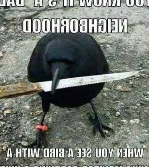 Need a Laugh ?