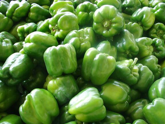 Paprika