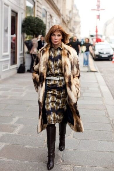 Female Celebrity - Anna Wintour