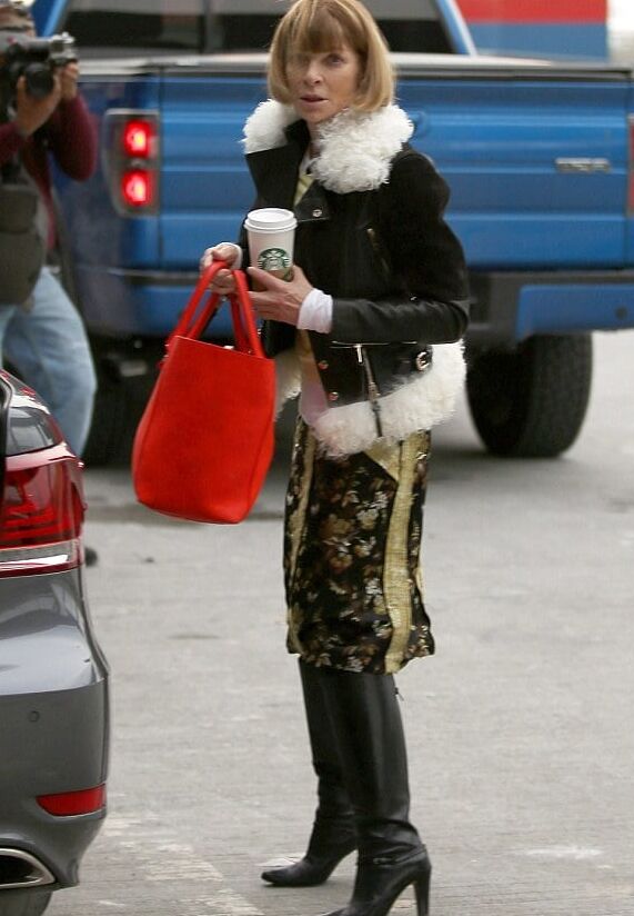 Female Celebrity - Anna Wintour