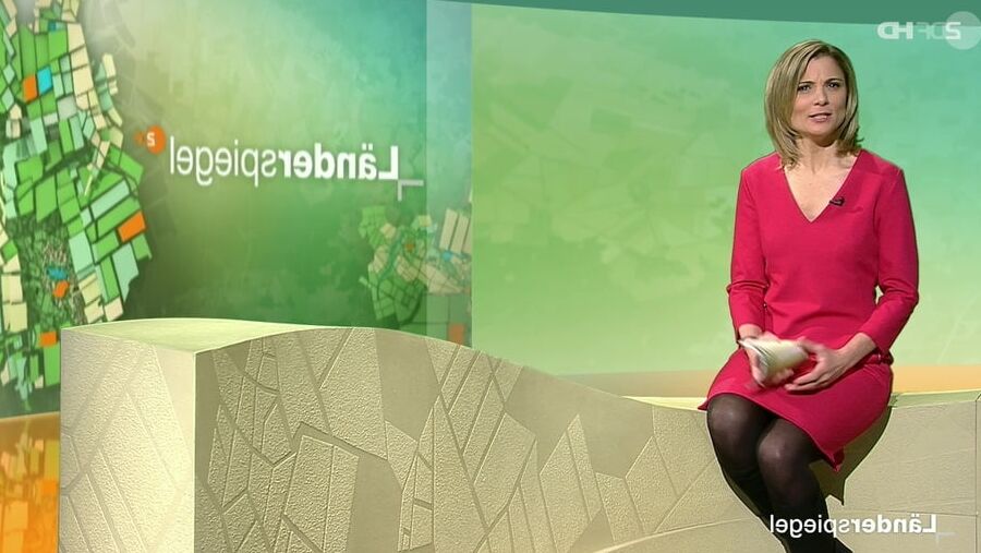 Yve Fehring TV Host, TV Moderatorin