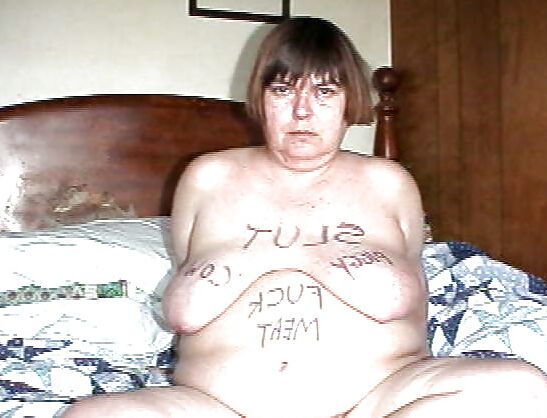 fat cow Sam