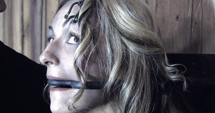 YES MISTRESS