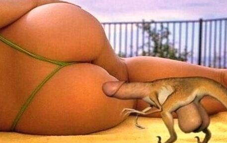Humor funny pics